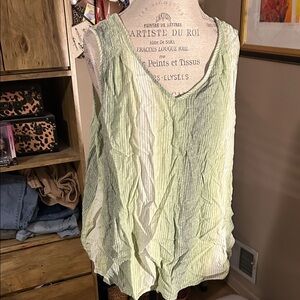 Time and Tru Olive and White Striped Top - XXL